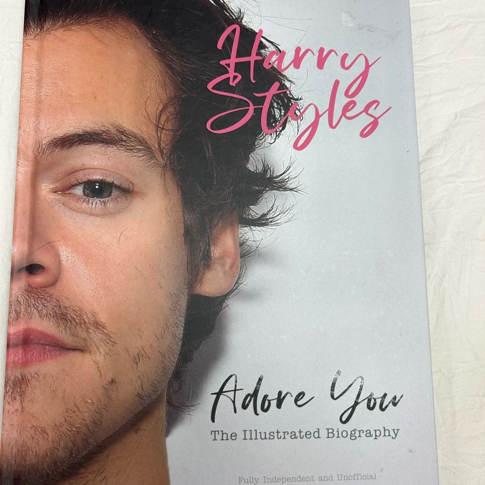 Harry Styles book